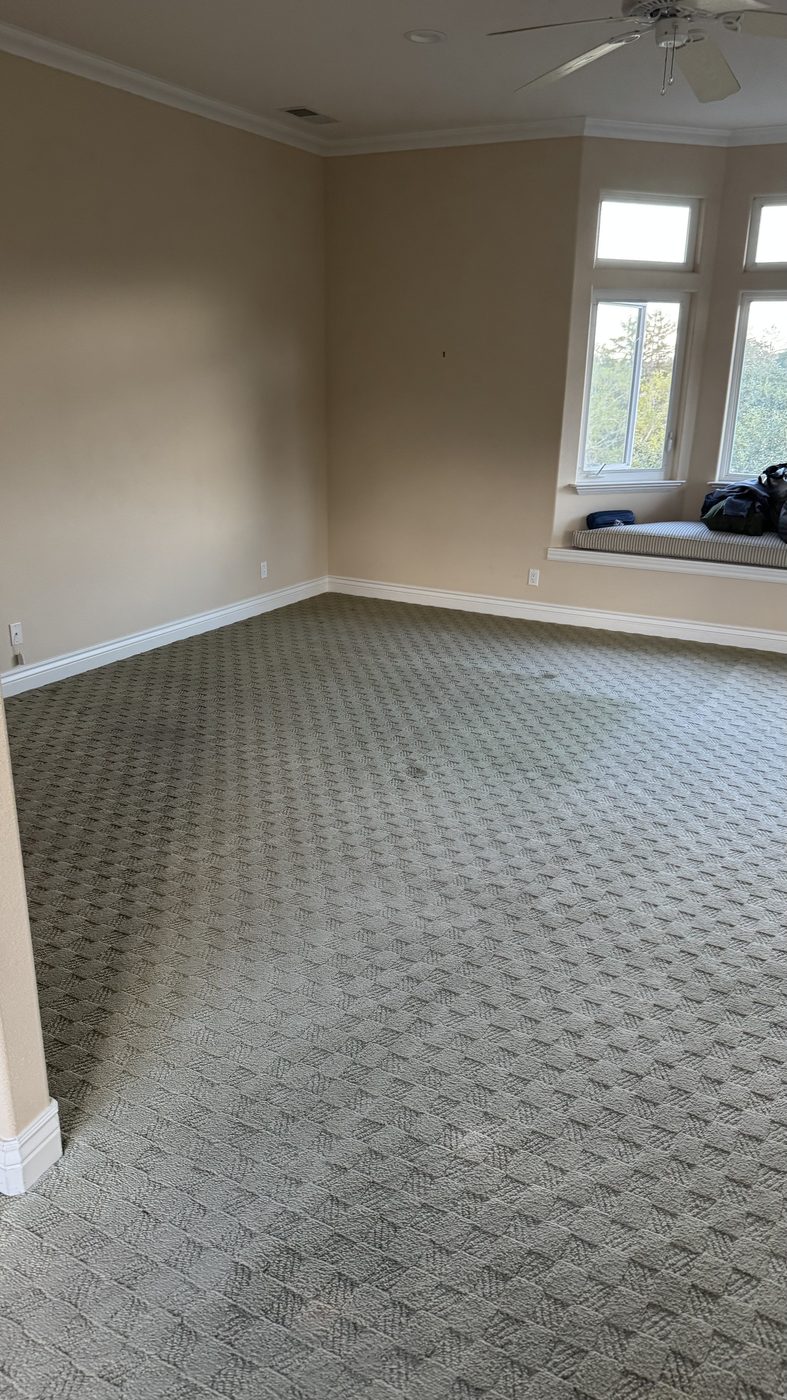 Carpet after professional deep cleaning