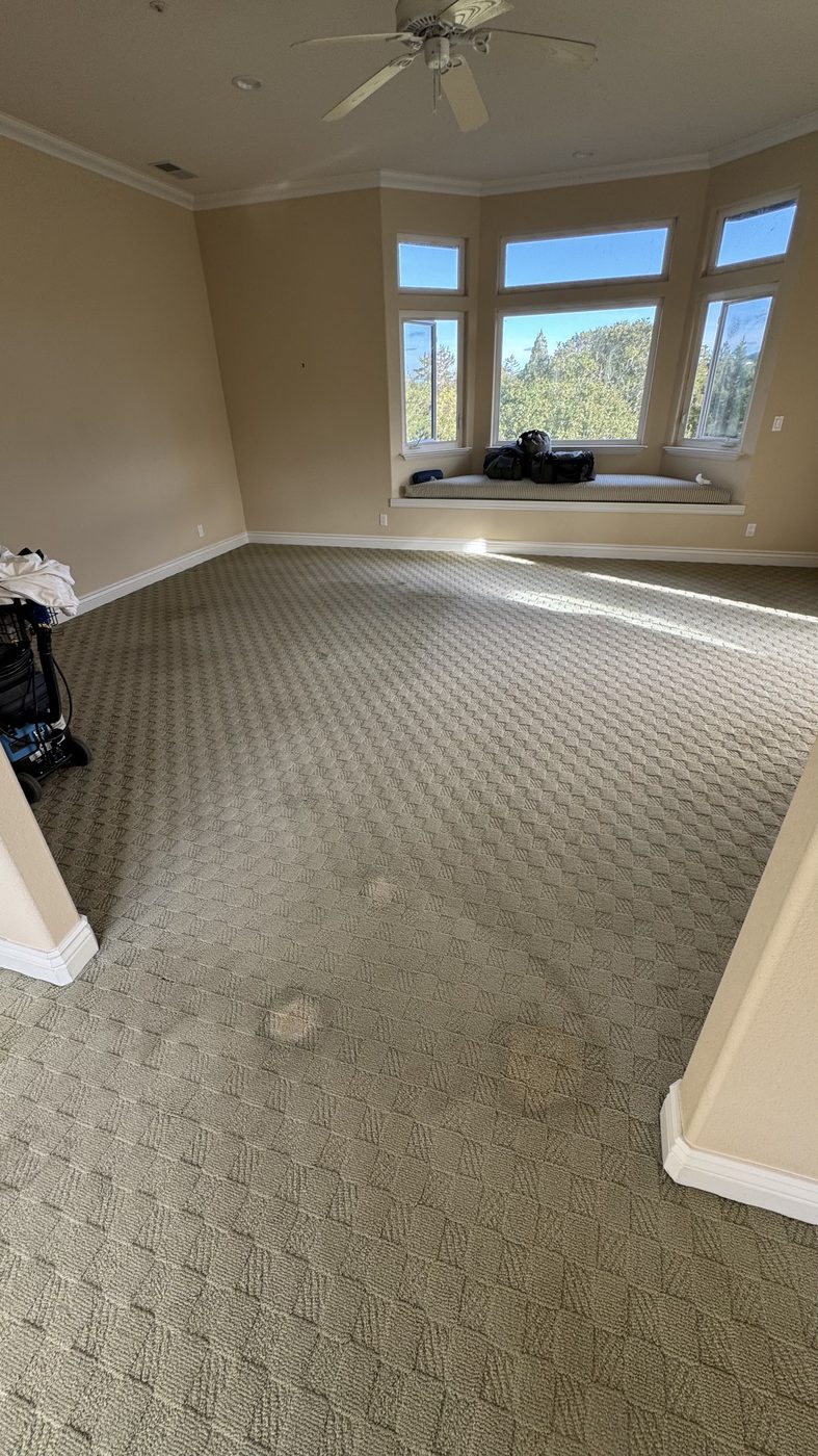 Carpet before cleaning, visible dirt patches