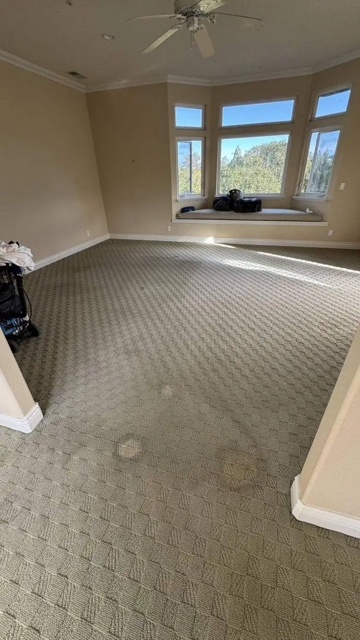 Carpet before cleaning, visible dirt patches