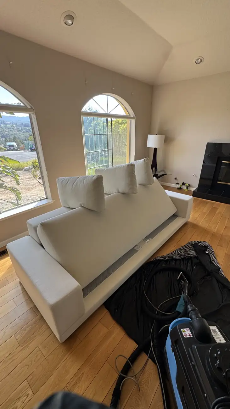 Cream white sofa after deep cleaning with cushions drying evenly