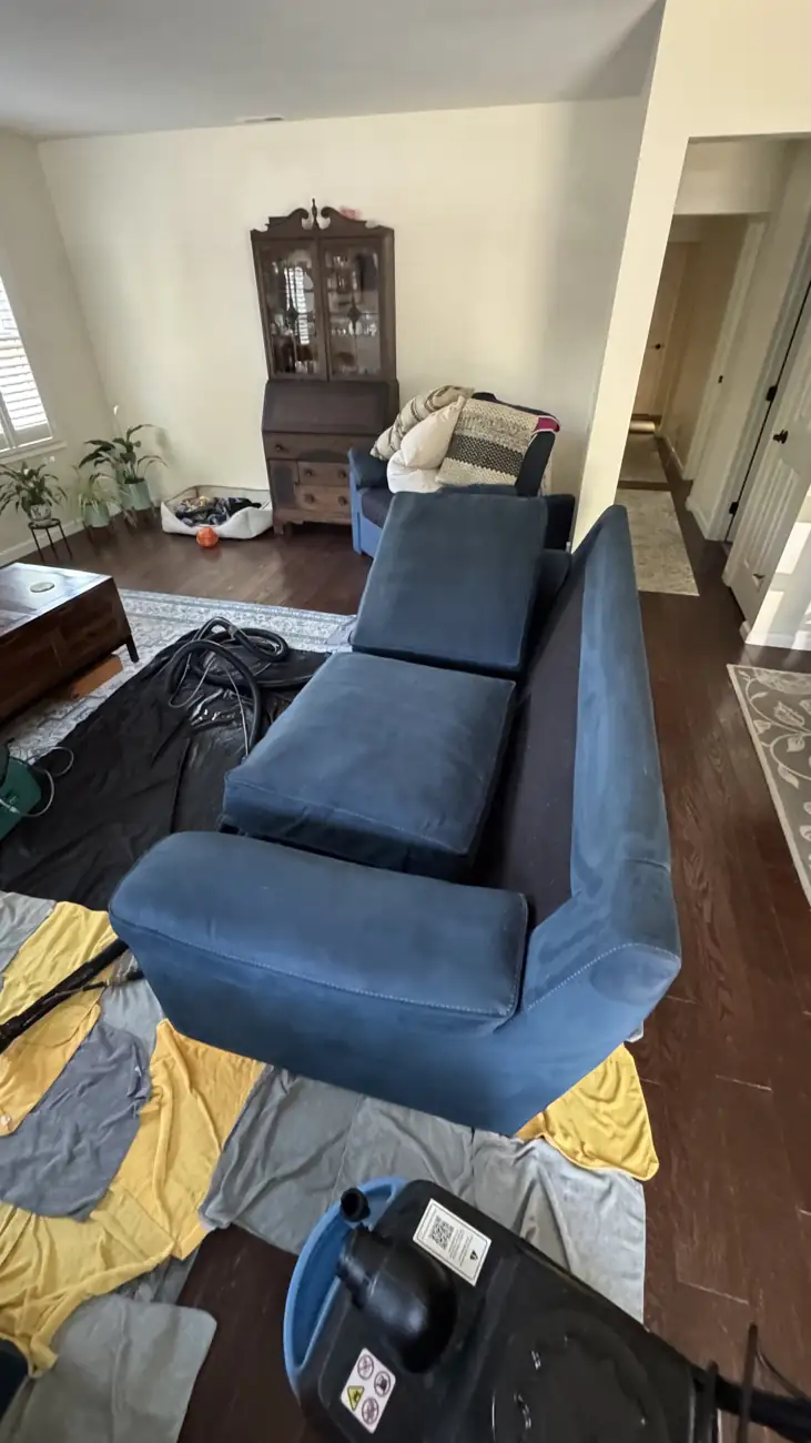 Blue velvet sofa during deep cleaning with floor protection in place