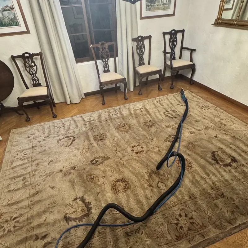 Large antique area rug during low-moisture cleaning in Palo Alto