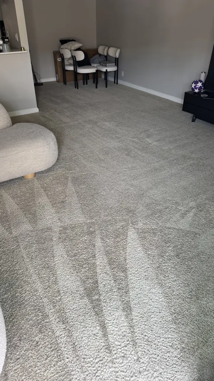 Apartment carpet after deep cleaning with even tone and fresh grooming lines