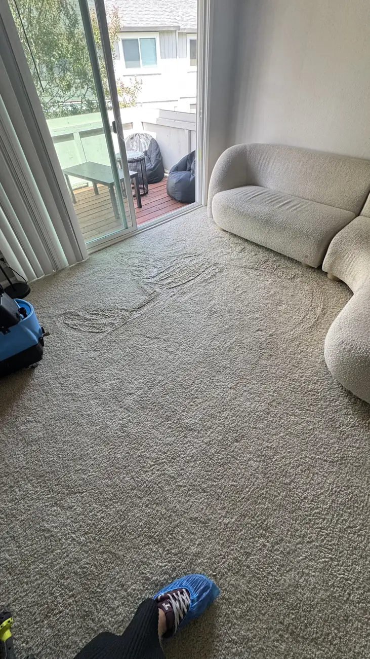 Matted apartment carpet before cleaning with a flattened walking path