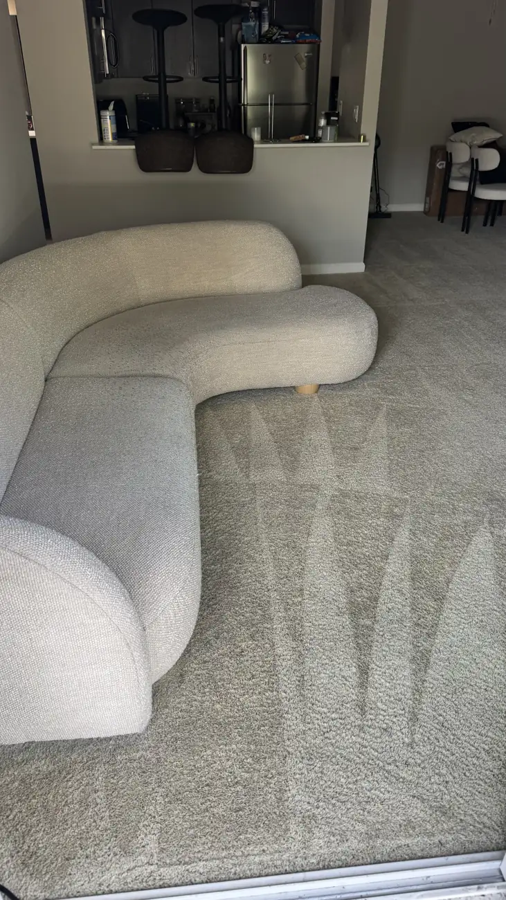 Clean carpet with visible extraction lines in a Palo Alto apartment