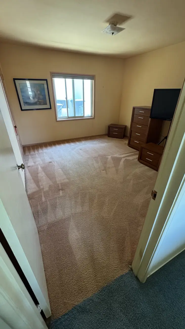 Bedroom carpet after deep cleaning in Palo Alto with even color and grooming lines
