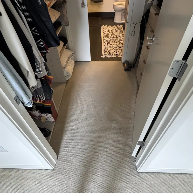 Walk-in closet carpet with clothing before cleaning