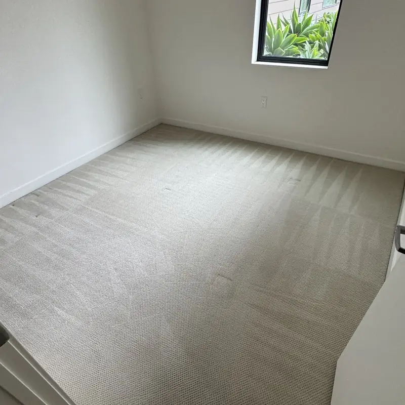 Bedroom carpet after hot water extraction cleaning