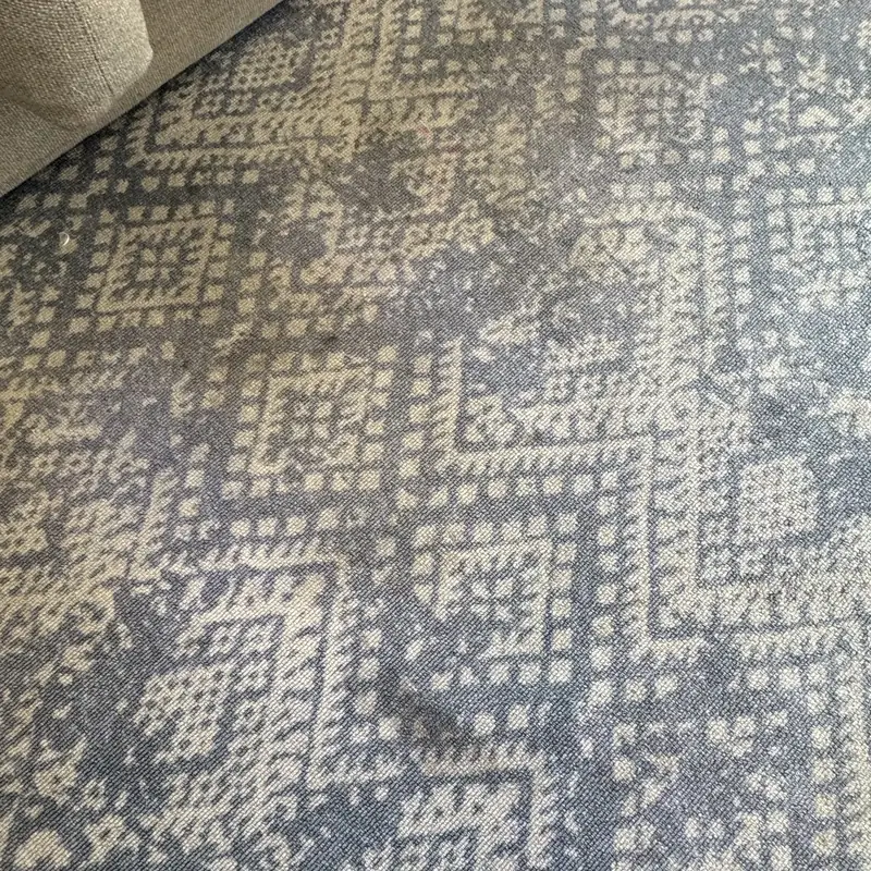 Close-up of the blue patterned area rug showing spots before cleaning