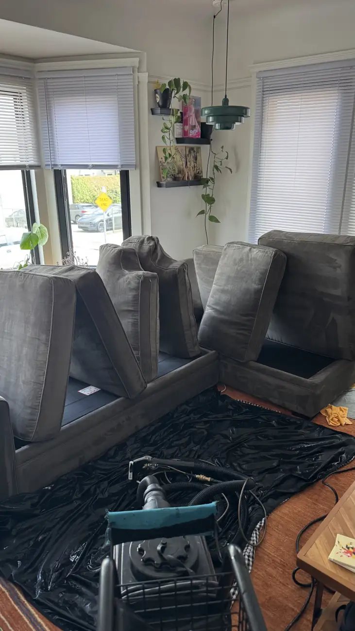 Hot water extraction in progress on a charcoal sectional in San Francisco
