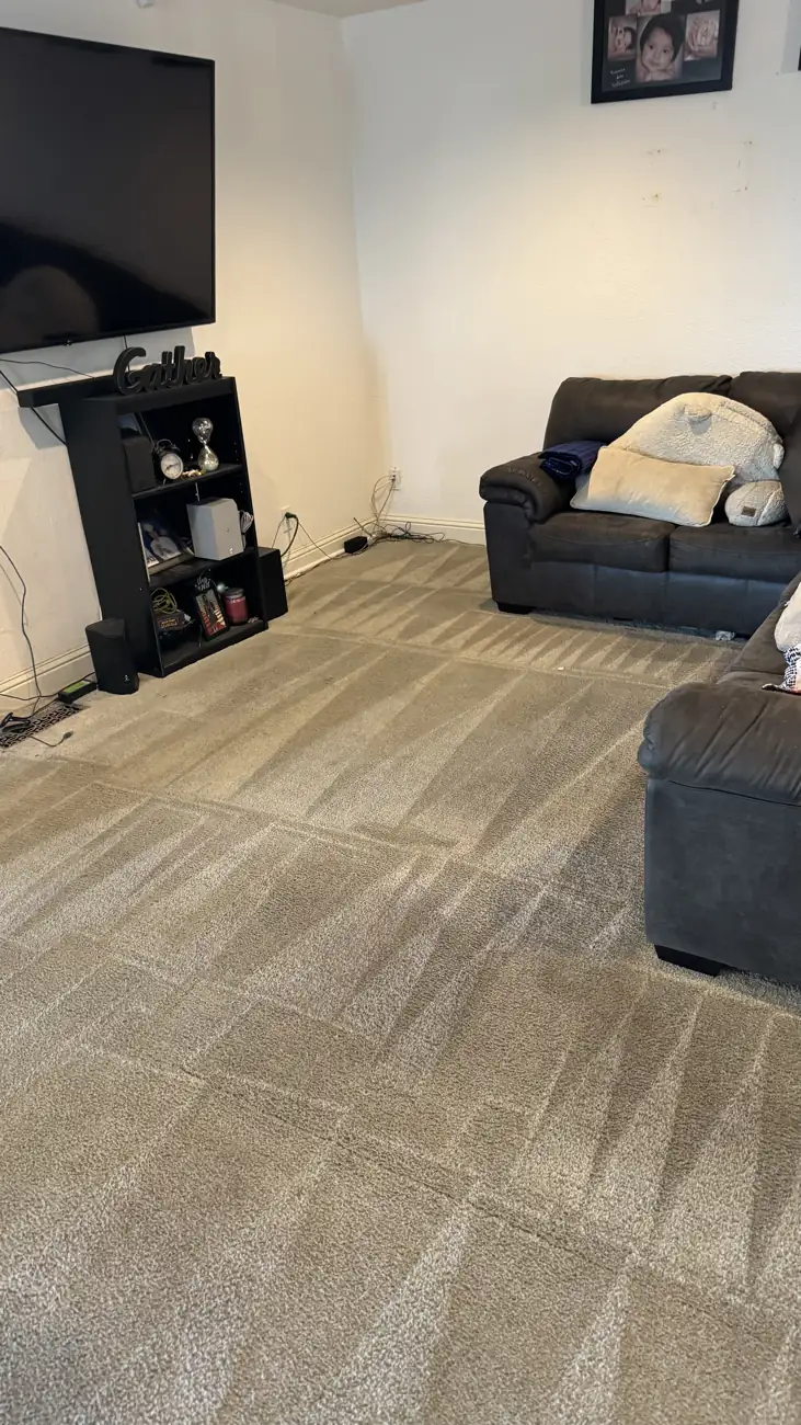 Living area carpet after cleaning with fresh grooming lines