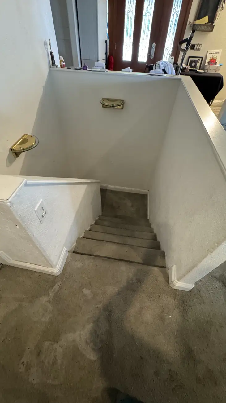 Hallway carpet before cleaning showing a dark traffic path