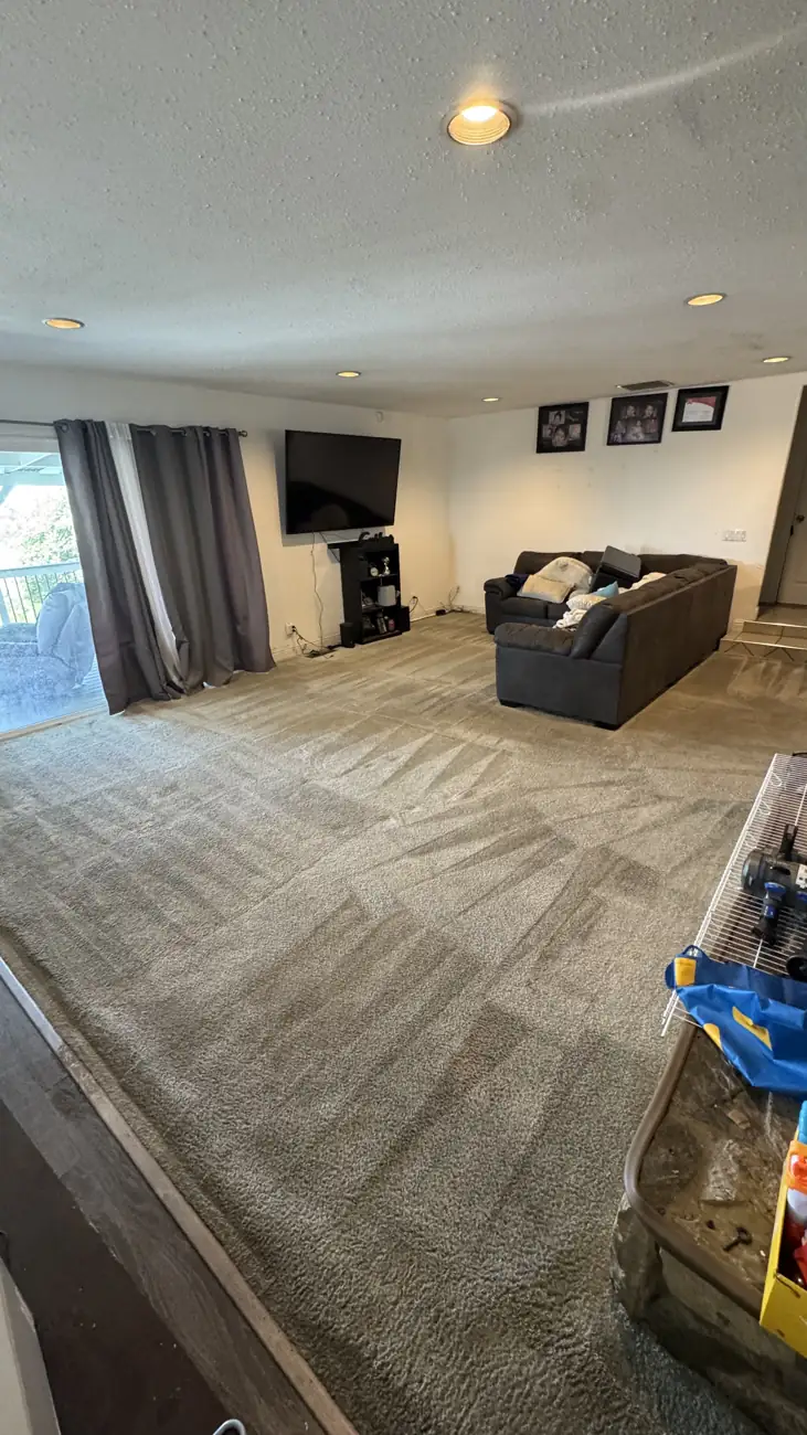 Clean carpet across the living room after hot water extraction