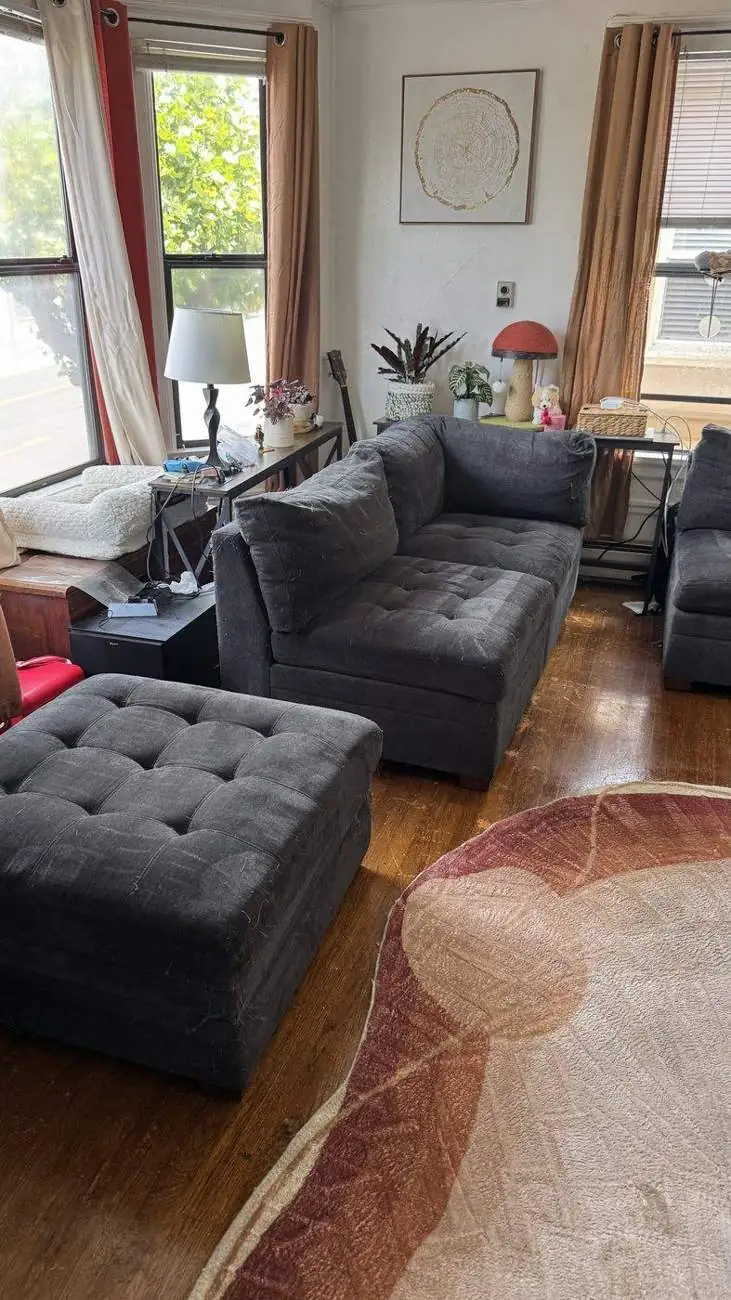 San Francisco living room after sectional and rug deep cleaning