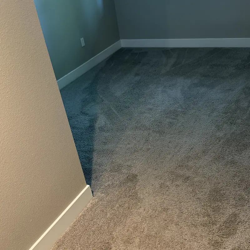 Bedroom carpet showing traffic paths before deep cleaning