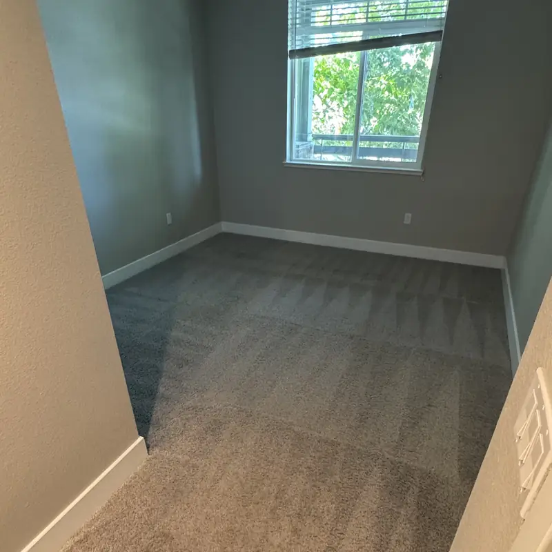 Second bedroom carpet after hot water extraction