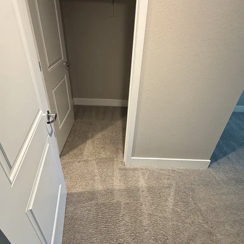 Walk-in closet carpet cleaned to the edges