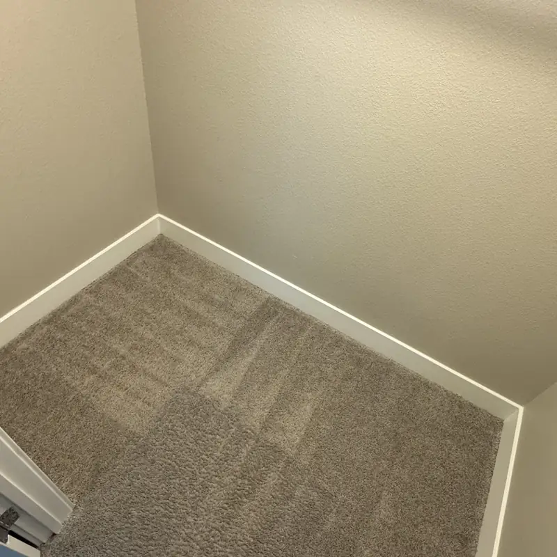 Bedroom carpet with clean extraction lines after the final pass