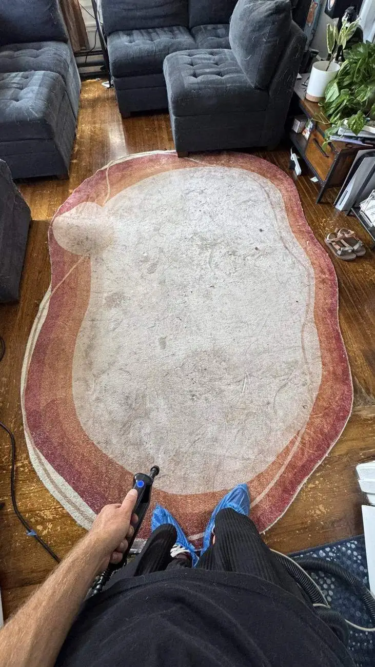 Oval rug half cleaned in San Francisco