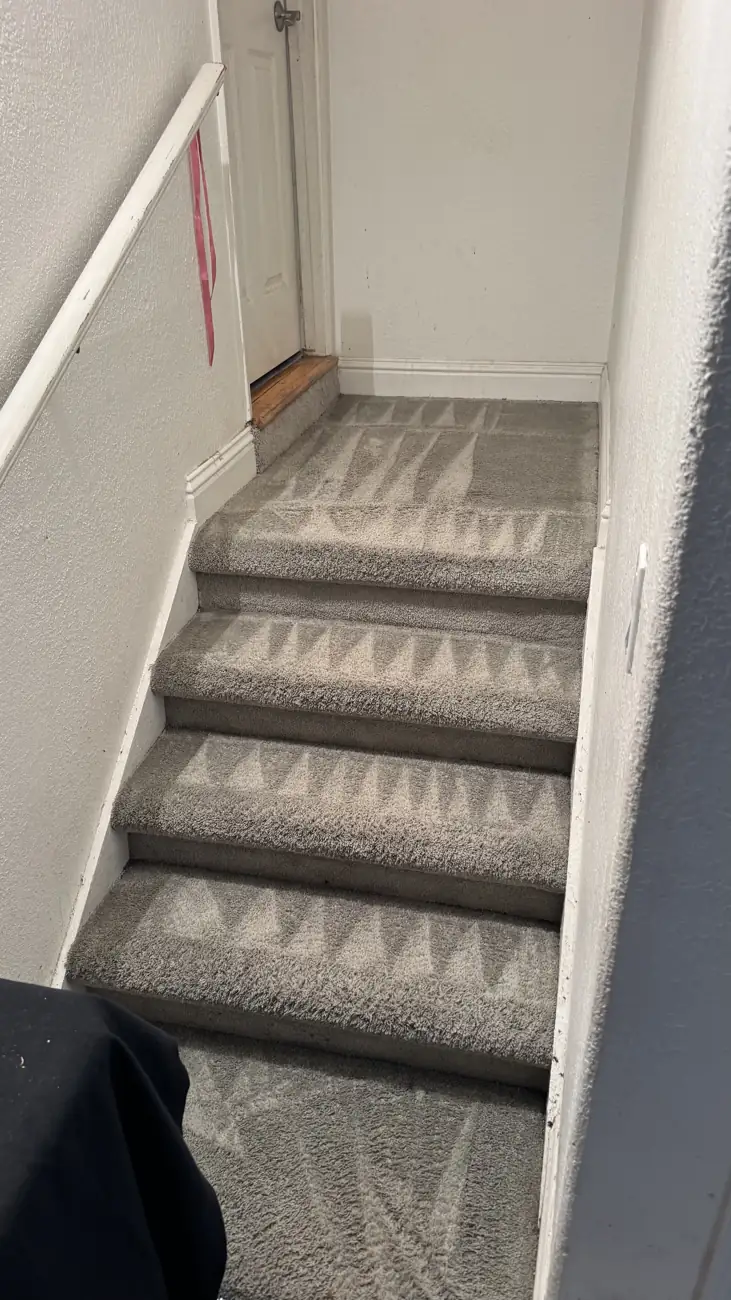 Staircase carpet after deep cleaning, even color and groomed pile