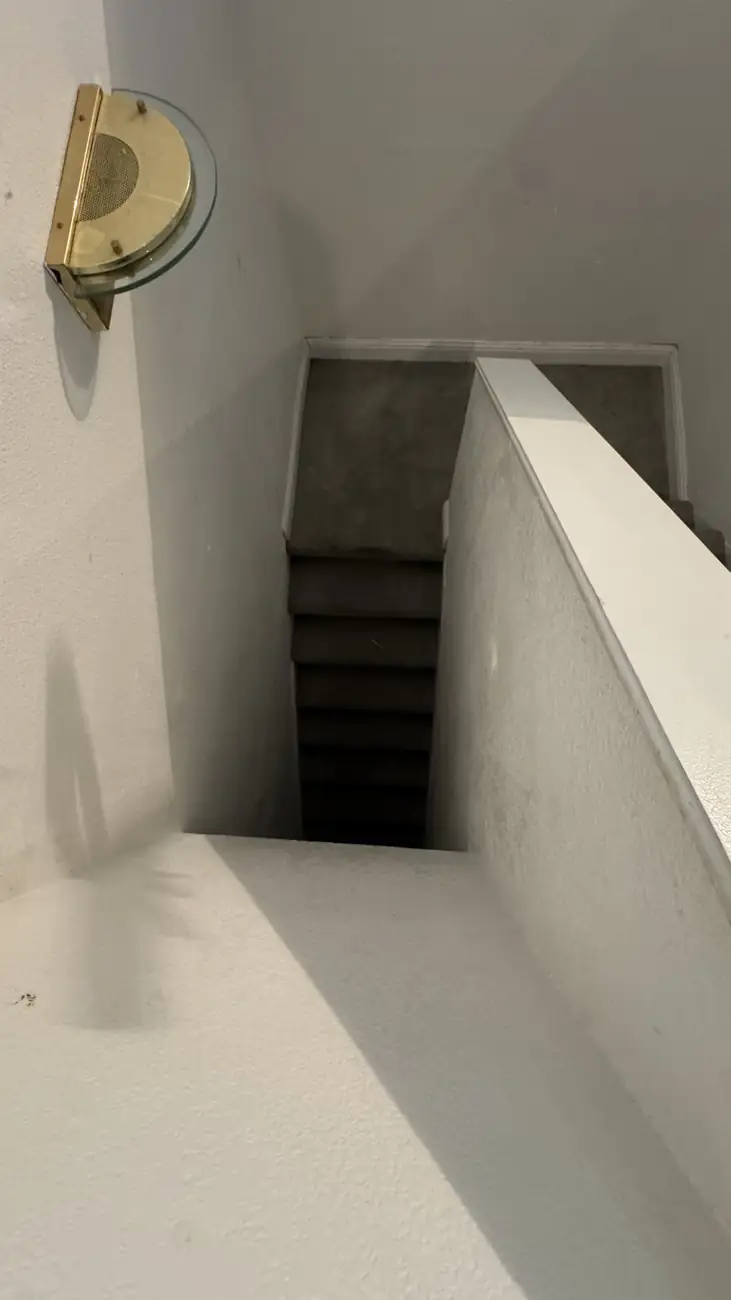 Staircase carpet before cleaning with dark bands on every tread