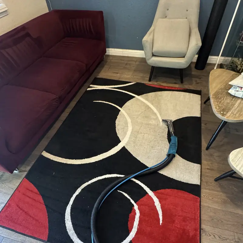 Graphic black red and cream area rug during hot water extraction