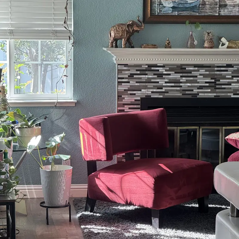 Grey shag rug by the fireplace before deep cleaning
