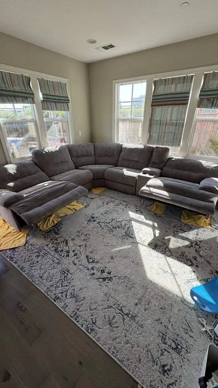Clean sectional sofa and area rug after service