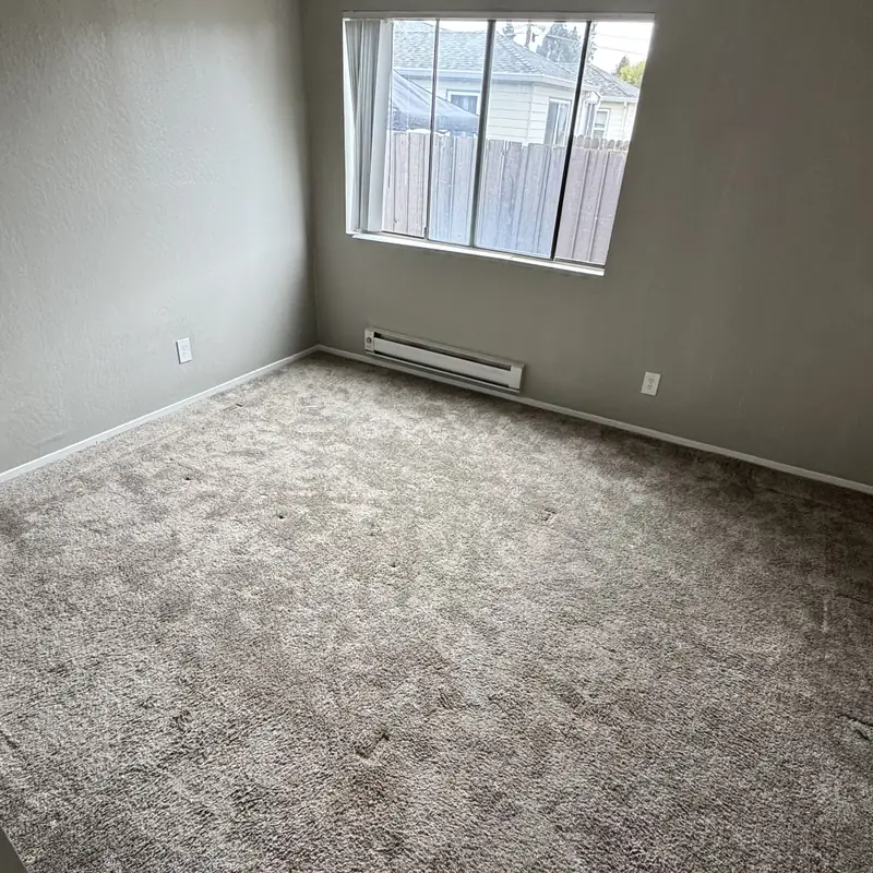 Empty bedroom carpet showing traffic paths before cleaning