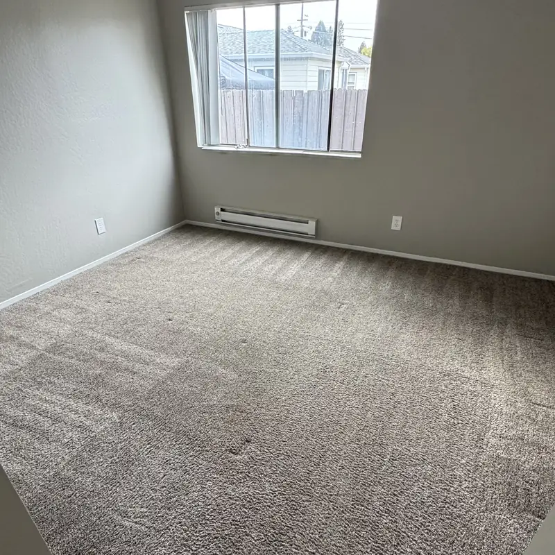 Bedroom carpet during hot water extraction cleaning