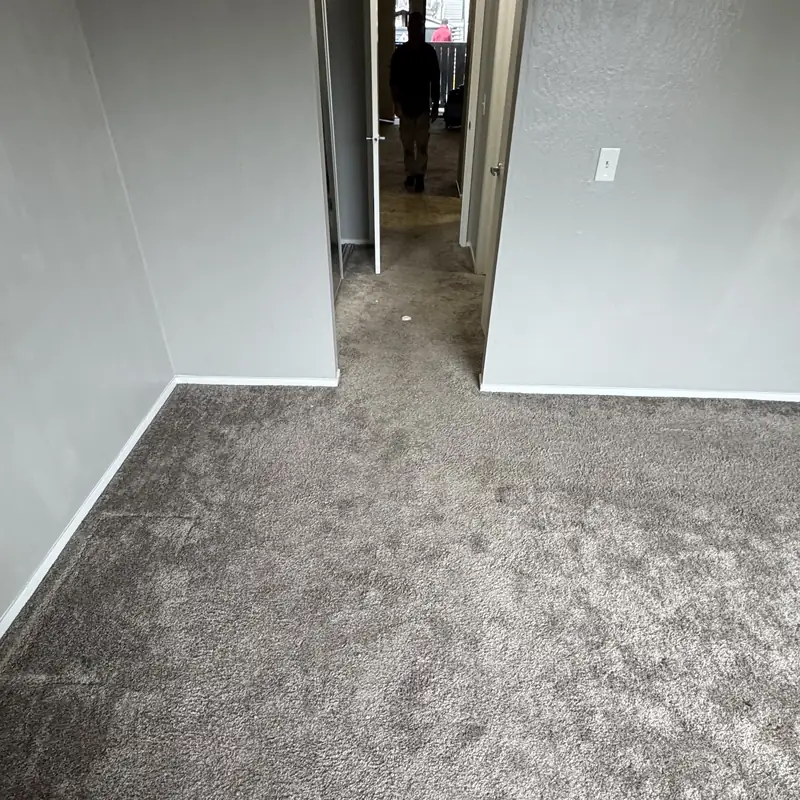 Hallway carpet cleaned through the empty unit