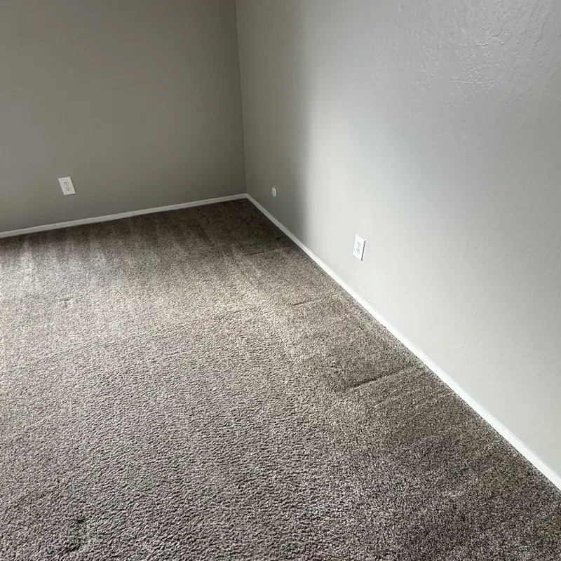 Room carpet after cleaning with even tone restored