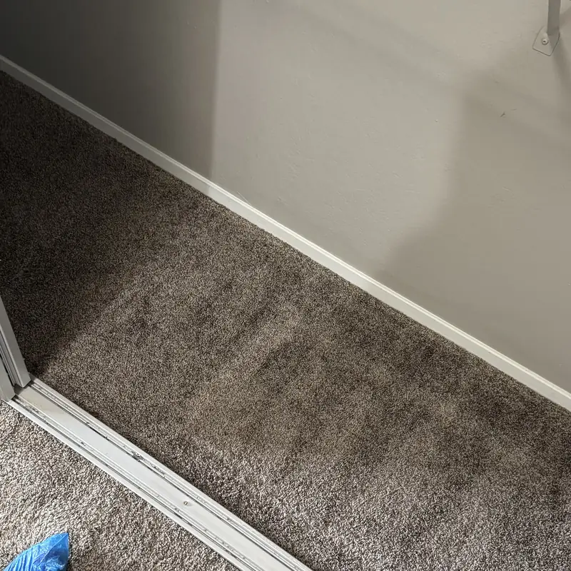 Closet carpet cleaned to the back wall