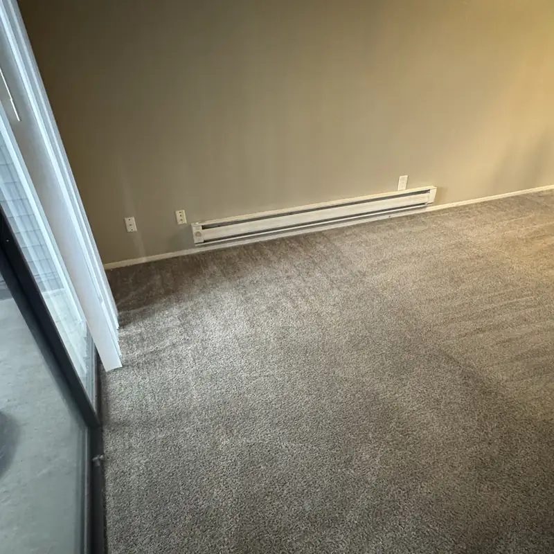 Living area carpet after full extraction cleaning