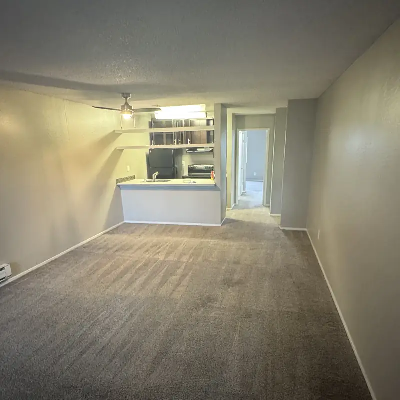 Empty room carpet with clean extraction lines