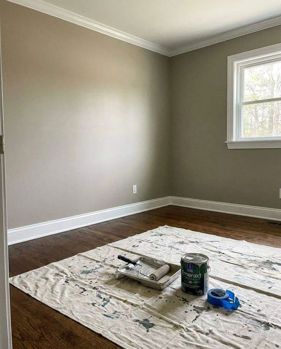 Freshly painted living room wall